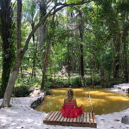 Recanto Dos Passaros Zen Apartamentos Em Meio De Natureza Praia do Forte Luaran gambar