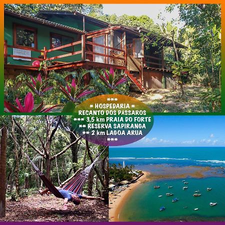 Recanto Dos Passaros Zen Apartamentos Em Meio De Natureza Praia do Forte Luaran gambar